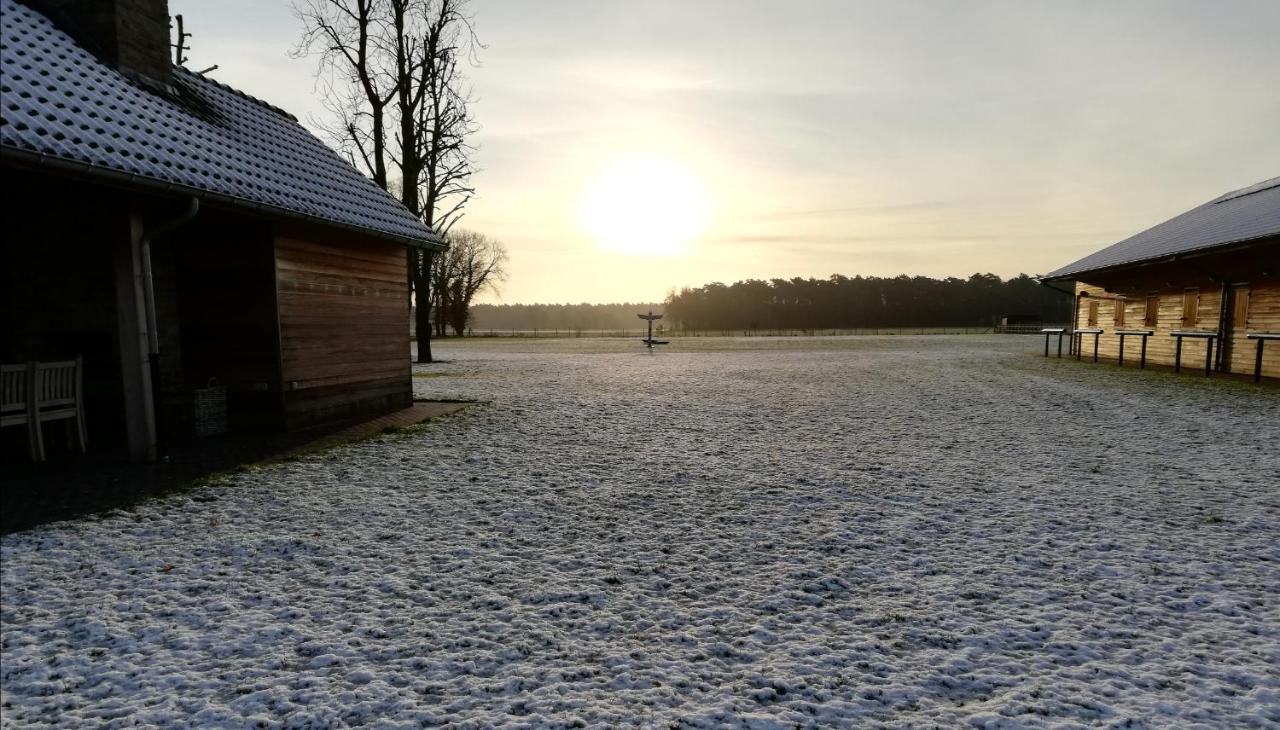 Kamphuis Heideven Villa Peer Bagian luar foto